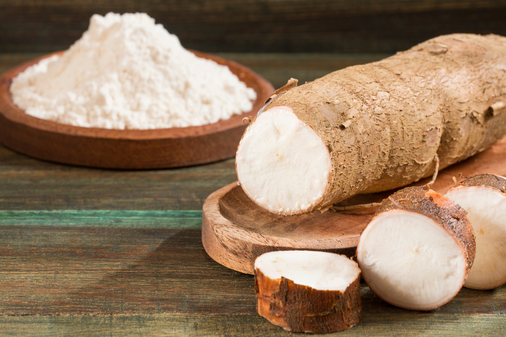 cassava root